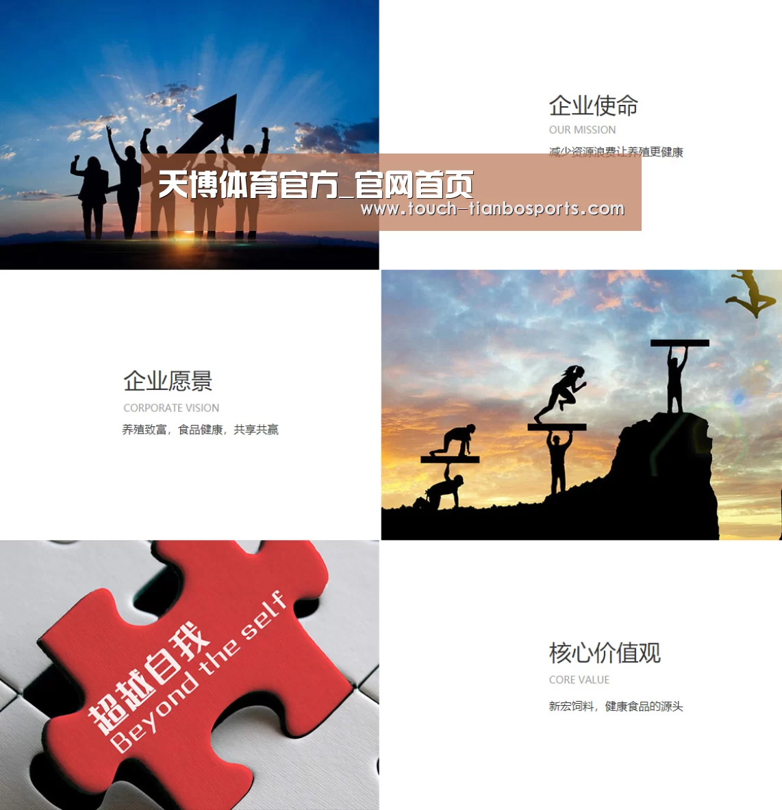 企业文化(图1)