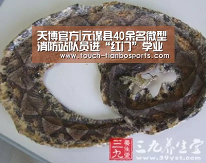天博官方|元谋县40余名微型消防站队员进“红门”学业务(图1) 天博体育