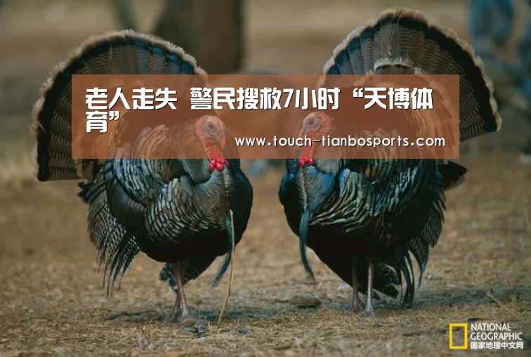 老人走失 警民搜救7小时“天博体育”(图1) 天博官方