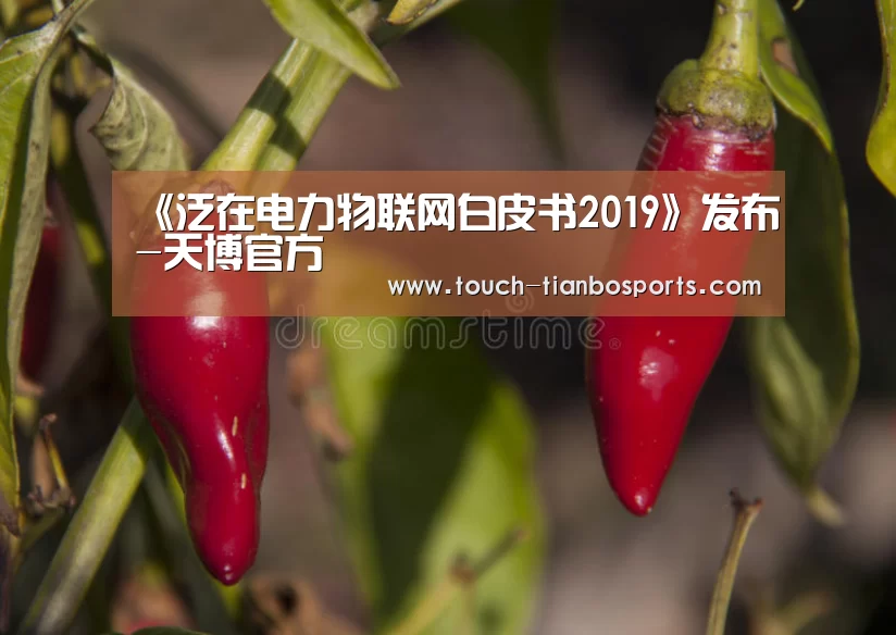 《泛在电力物联网白皮书2019》发布-天博官方