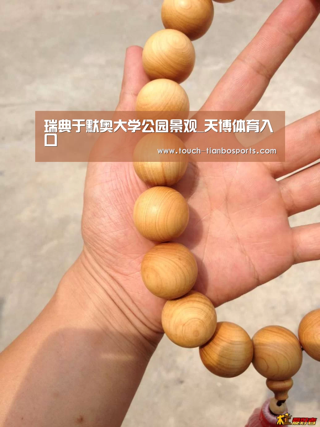 瑞典于默奥大学公园景观_天博体育入口(图1) 天博体育