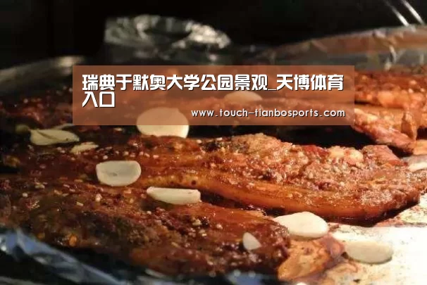 瑞典于默奥大学公园景观_天博体育入口(图4) 天博体育官网