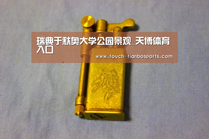 瑞典于默奥大学公园景观_天博体育入口(图2) 天博体育