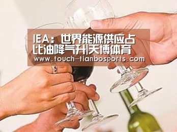 IEA：世界能源供应占比油降气升|天博体育